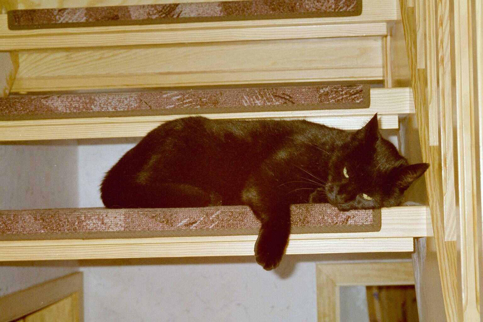 Noch mehr Entpannung