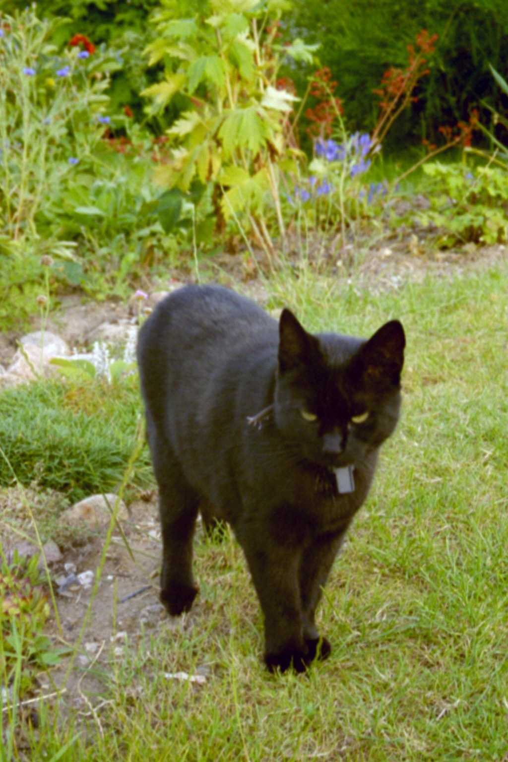 Der Garten gehört mir!