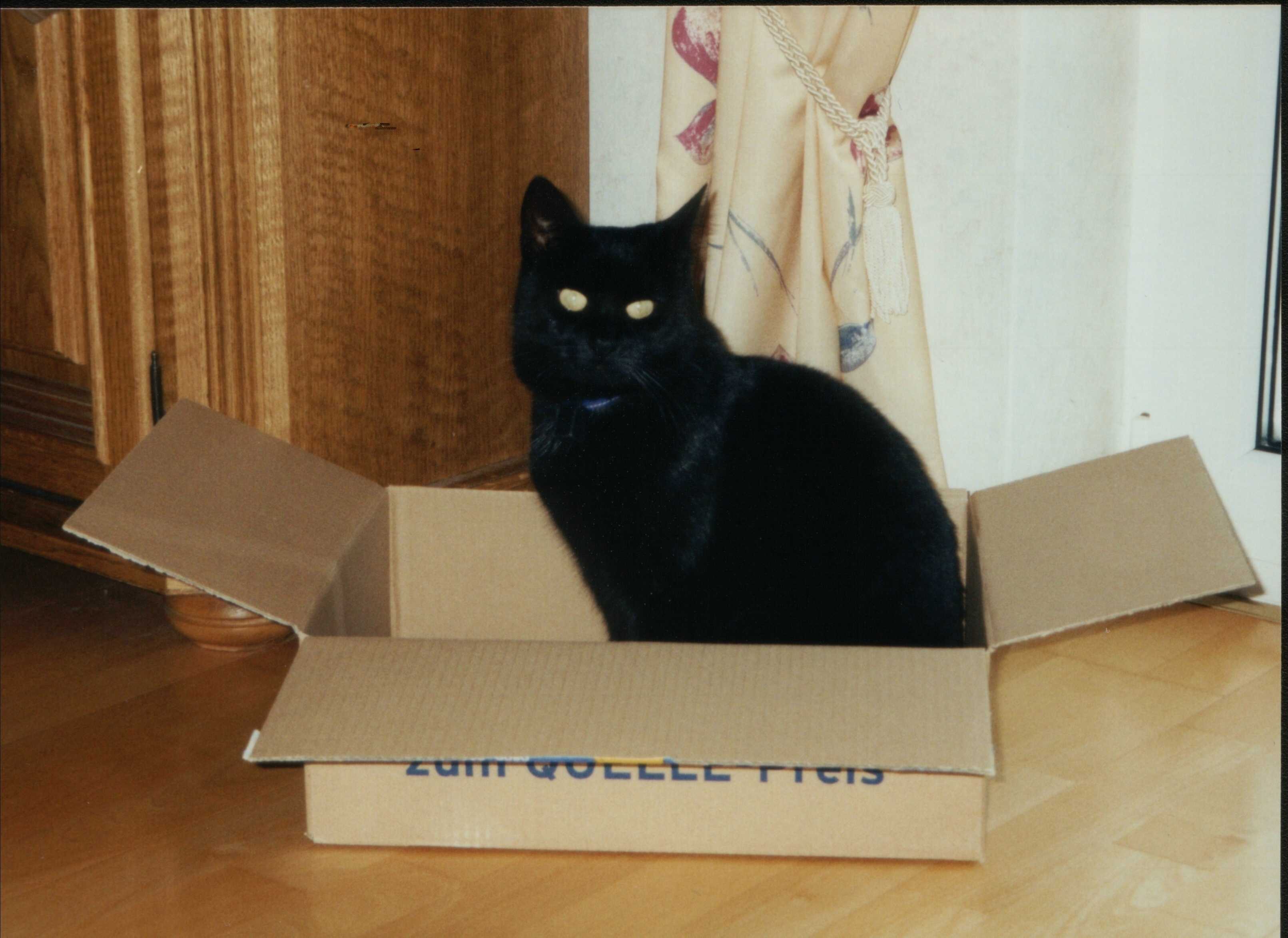 So ein karton hat was!